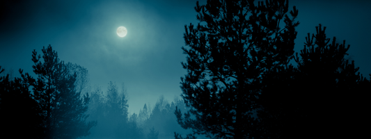 Die Rauhnächte – Zeit zwischen den Welten